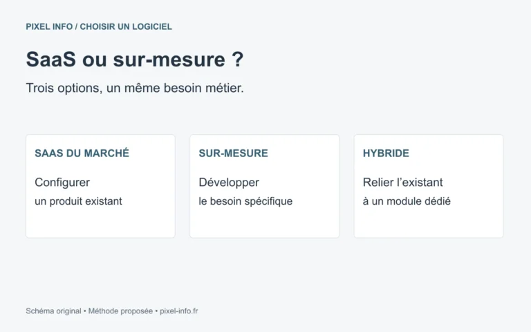Trois options à comparer : logiciel du marché, développement spécifique et approche hybride